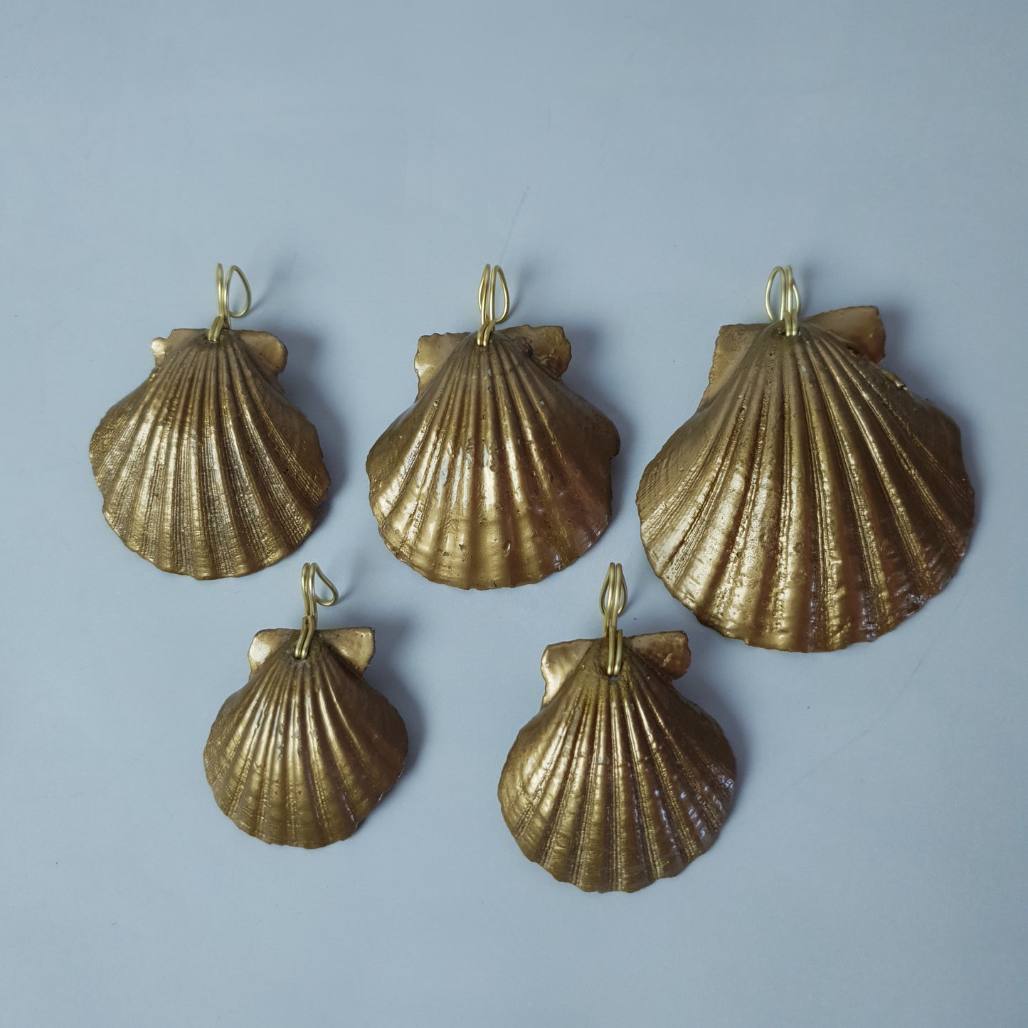 Set conchiglie oro con gancio, "Golden Shell"