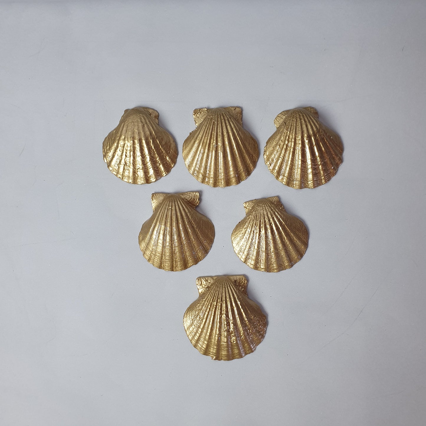 Goldmuscheln-Set „Goldene Muschel“