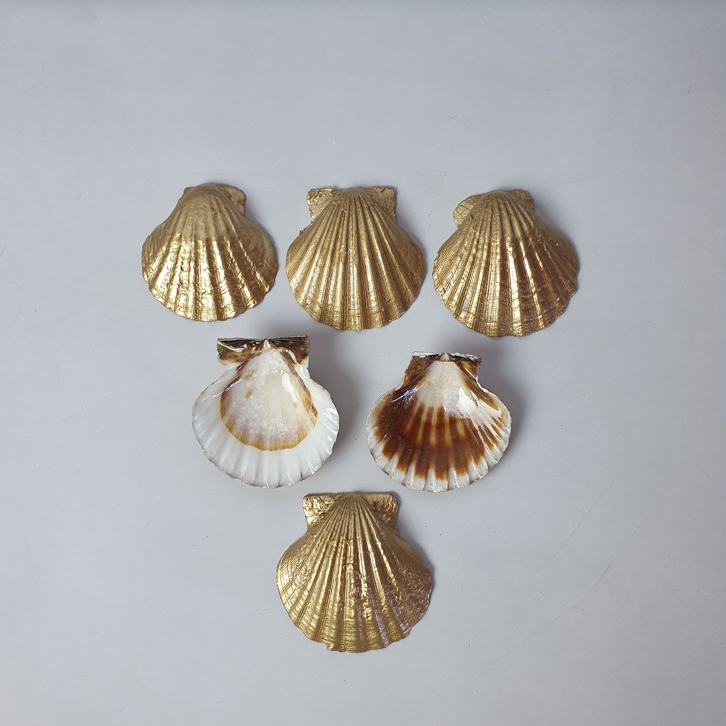 Goldmuscheln-Set „Goldene Muschel“