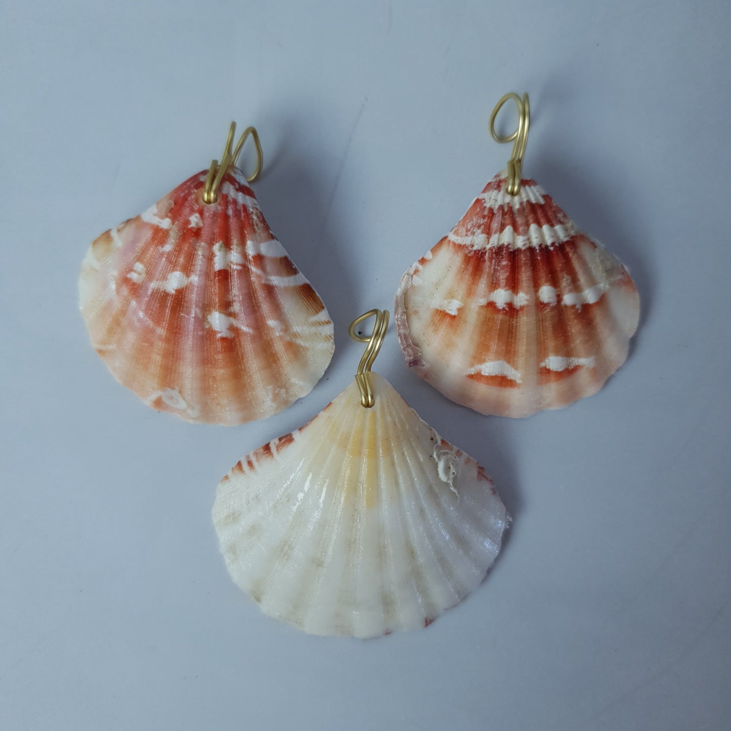 Set pink decorative shells, "Golden Shell"